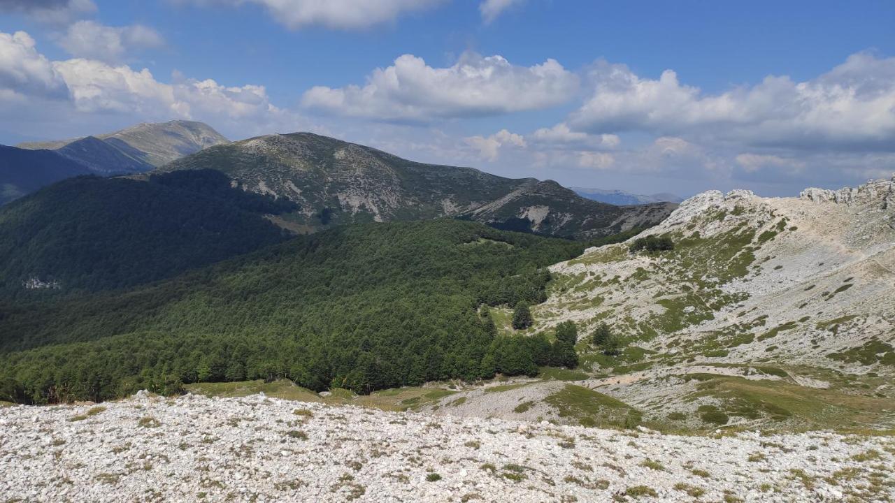 La Casina Gialla Villa Veroli Екстериор снимка