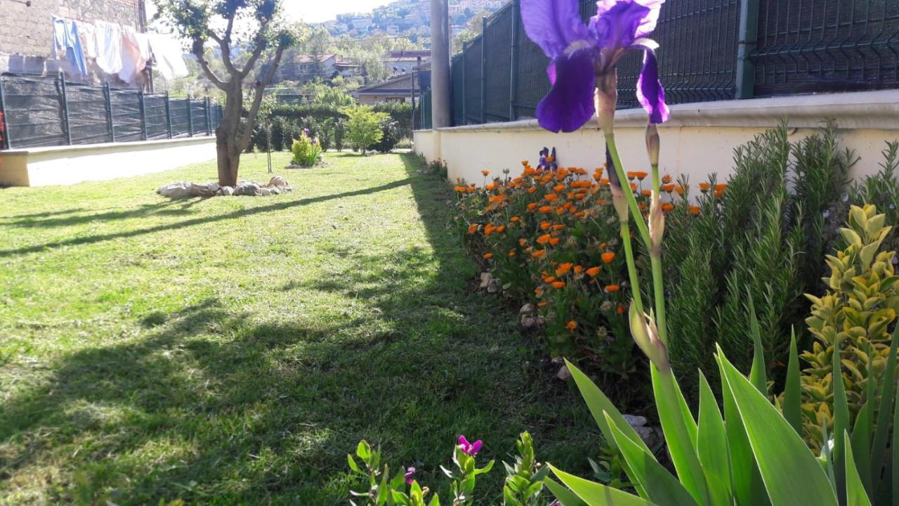La Casina Gialla Villa Veroli Екстериор снимка