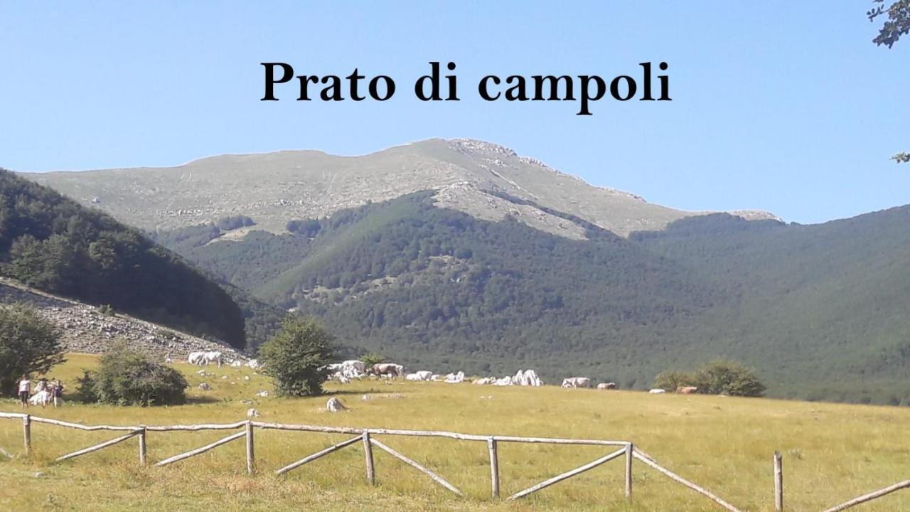 La Casina Gialla Villa Veroli Екстериор снимка