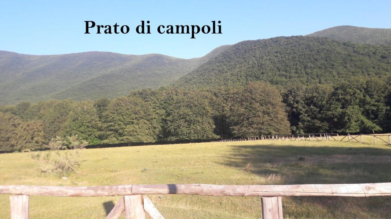 La Casina Gialla Villa Veroli Екстериор снимка